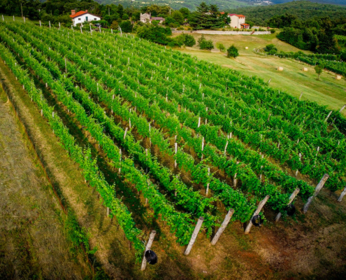 DCIM100MEDIADJI_0379.JPG Ograda - Gradnje